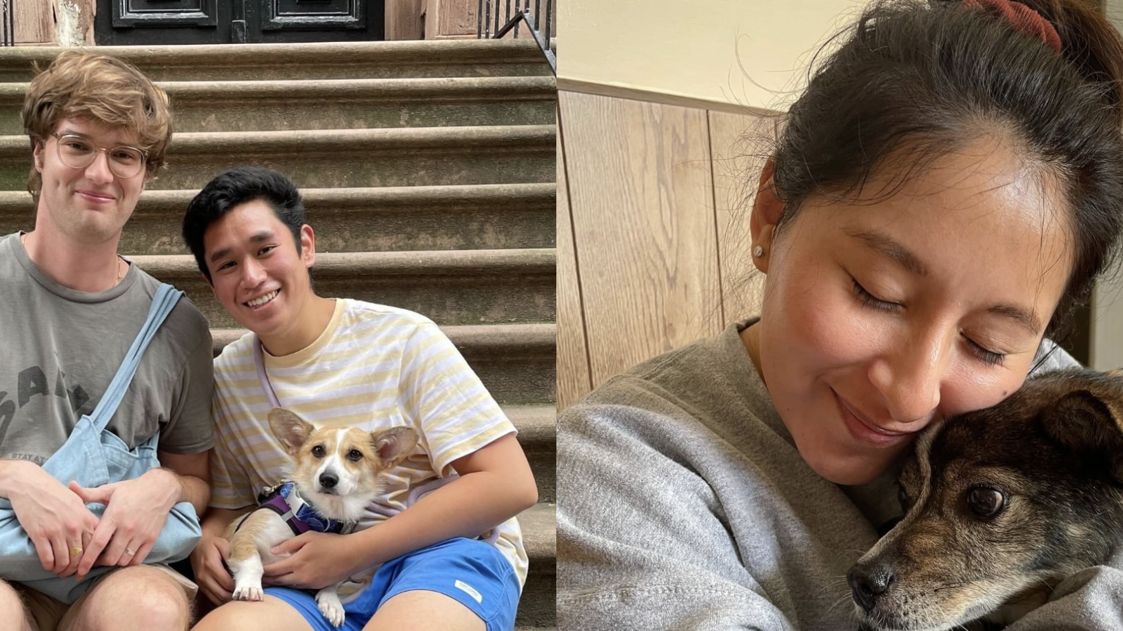 korean k9 rescue foster parents
